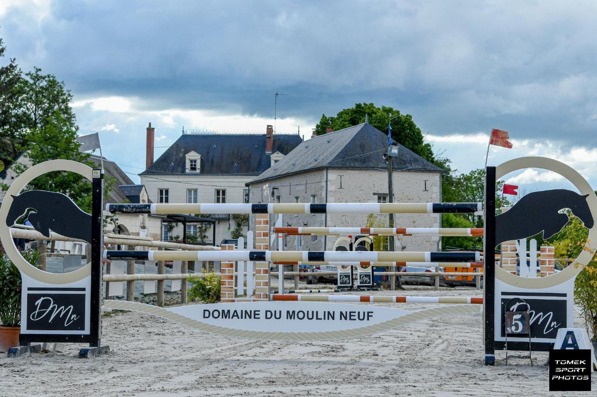 Domaine Du Moulin Neuf Aux Portes De Beauval Nouans-les-Fontaines Экстерьер фото